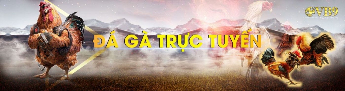 đá gà trực tiếp, vb9 đá gà trực tiếp, vuabai9 đá gà trực tiếp, đá gà online, đá gà, vuabai9