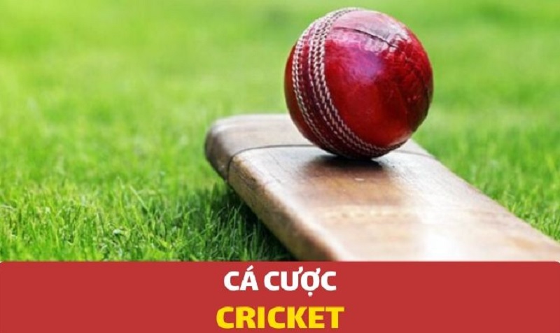 Tìm hiểu về cá cược Cricket và các loại kèo cược cơ bản cần biết