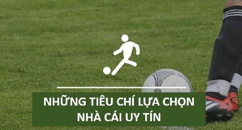 Hướng dẫn cách lựa chọn nhà cái uy tín khi cá cược trực tuyến