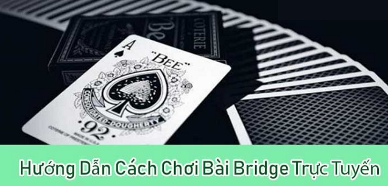 Hướng dẫn chơi game bài Bridge trực tuyến cực kỳ hấp dẫn