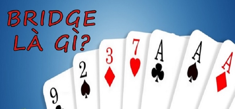 Hướng dẫn chơi game bài Bridge trực tuyến cực kỳ hấp dẫn