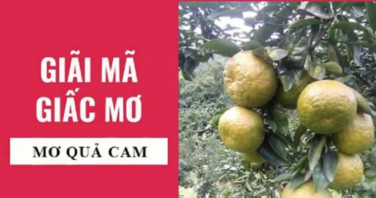 Giải mã giấc mơ: Mơ thấy quả cam thì đánh con gì?