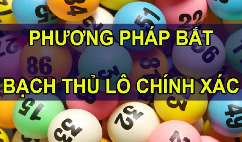 Phương pháp chơi bạch thủ lô được nhiều cao thủ chia sẻ mới nhất