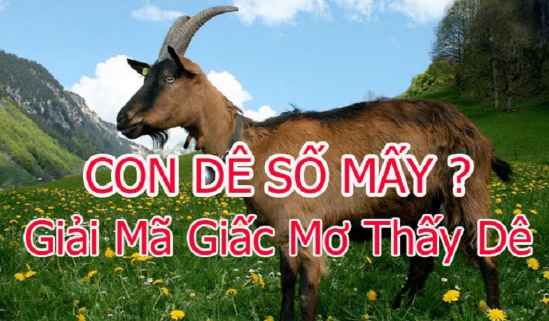 Giải mã giấc mơ: Mơ về dê nên đánh số lô đề nào