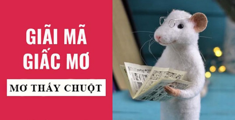 Giải mã giấc mơ: Ngủ mơ thấy chuột nên lựa chọn số lô đề nào?