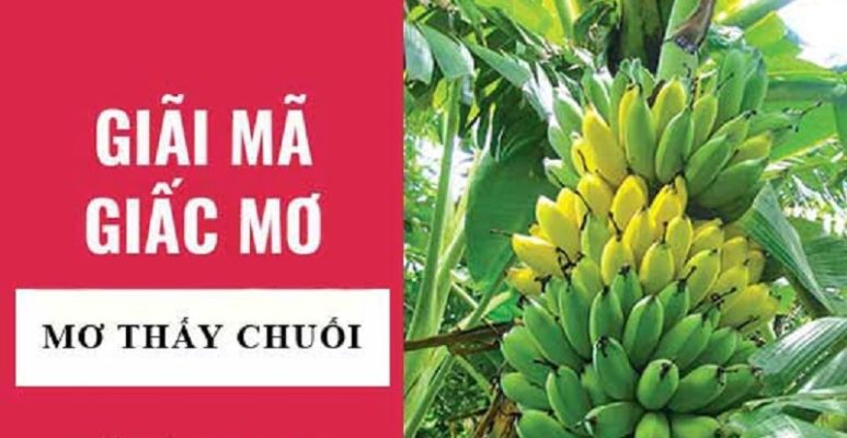 Giải mã giấc mơ: Nằm mơ thấy chuối là điềm báo gì?