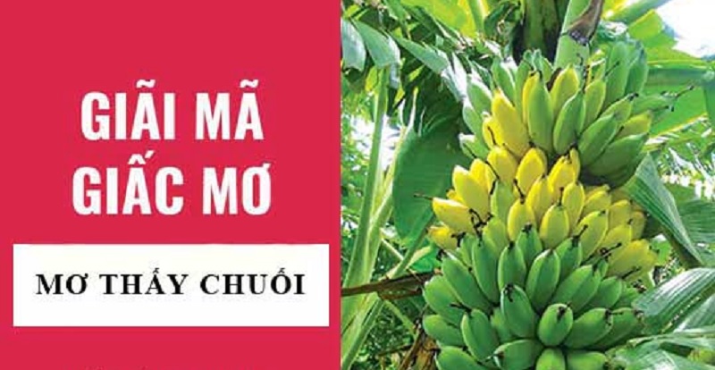 Giải mã giấc mơ: Nằm mơ thấy chuối là điềm báo gì?