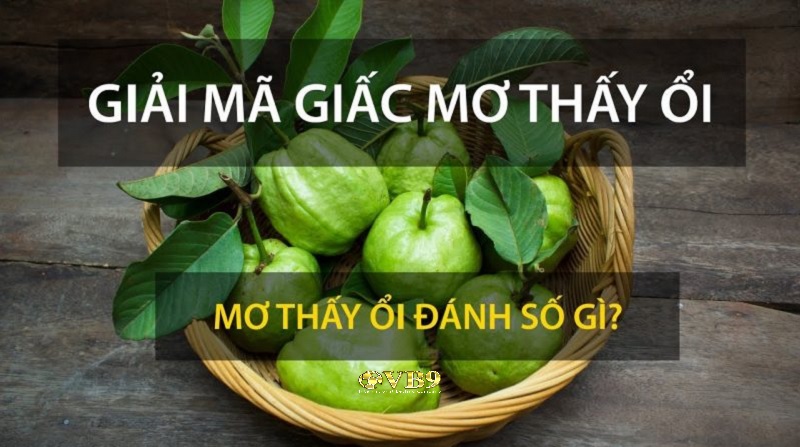 Giải mã giấc mơ: Nằm mơ về quả ổi thì chọn lựa số lô đề nào hiệu quả