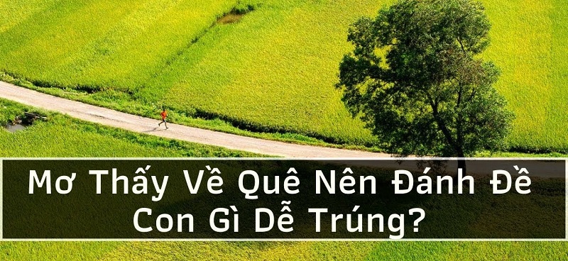 Giải mã giấc mơ: Khi mơ về quê hương là điềm báo gì?