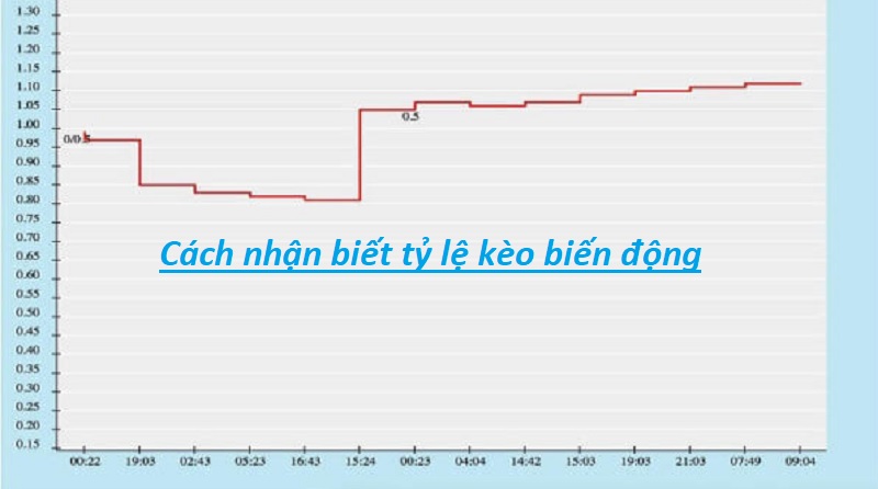 Biến động kèo khi cá độ bóng đá - Cách nhận biết cho người chơi mới