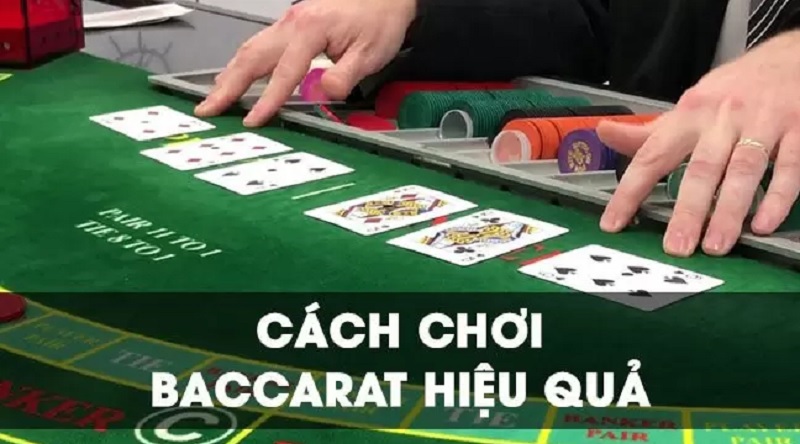 Thủ thuật phân bổ cá cược trong Baccarat - Cách cao thủ phân bổ tiền cược